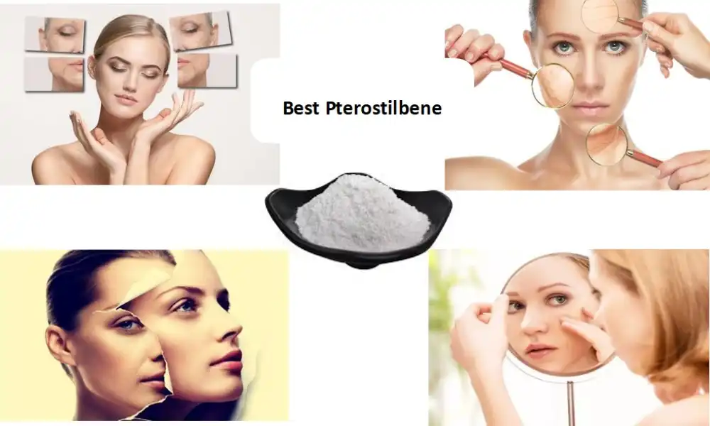 Best Pterostilbene: Anti-Aging and Cognitive Health